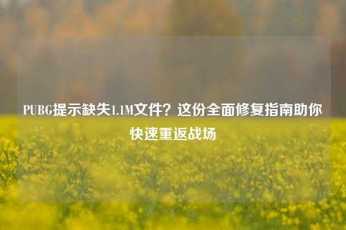 PUBG提示缺失1.1M文件？这份全面修复指南助你快速重返战场