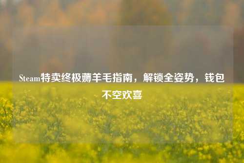 Steam特卖终极薅羊毛指南,解锁全姿势,钱包不空欢喜