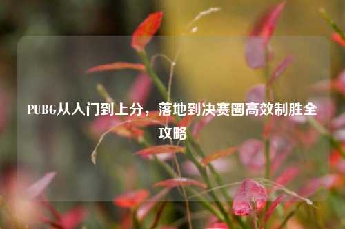 PUBG从入门到上分,落地到决赛圈高效制胜全攻略