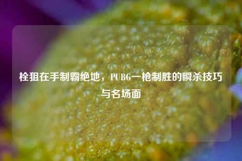 栓狙在手制霸绝地,PUBG一枪制胜的瞬杀技巧与名场面