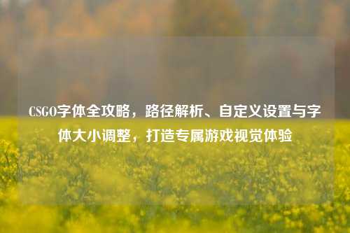 CSGO字体全攻略,路径解析、自定义设置与字体大小调整,打造专属游戏视觉体验