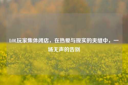 LOL玩家集体闭店,在热爱与现实的夹缝中,一场无声的告别