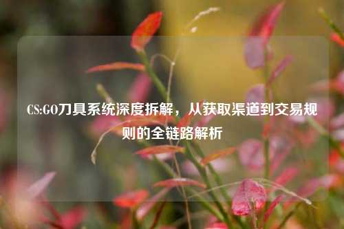 CS:GO刀具系统深度拆解,从获取渠道到交易规则的全链路解析