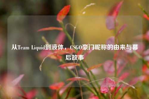 从Team Liquid到液体,CSGO豪门昵称的由来与幕后故事