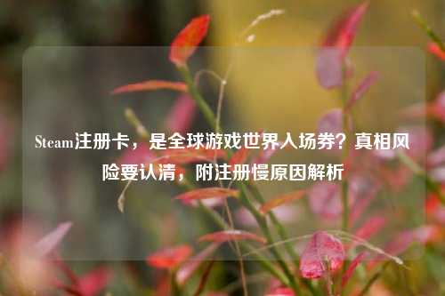 Steam注册卡,是全球游戏世界入场券?真相风险要认清,附注册慢原因解析