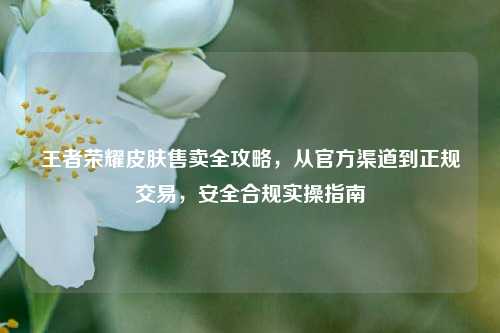 王者荣耀皮肤售卖全攻略,从官方渠道到正规交易,安全合规实操指南