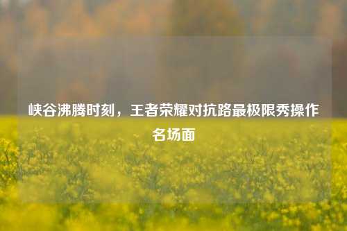 峡谷沸腾时刻,王者荣耀对抗路最极限秀操作名场面