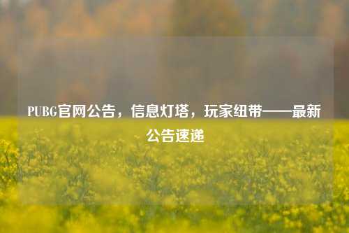 PUBG官网公告,信息灯塔,玩家纽带——最新公告速递