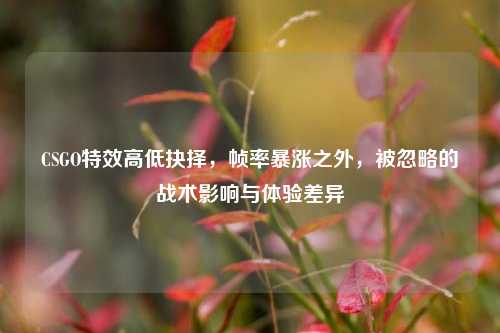 CSGO特效高低抉择,帧率暴涨之外,被忽略的战术影响与体验差异