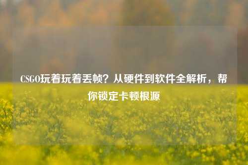 CSGO玩着玩着丢帧?从硬件到软件全解析,帮你锁定卡顿根源