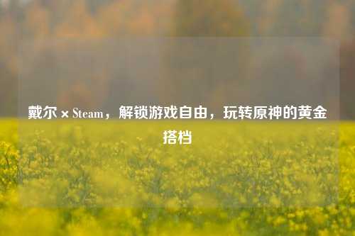 戴尔×Steam,解锁游戏自由,玩转原神的黄金搭档