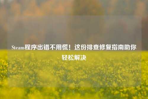 Steam程序出错不用慌！这份排查修复指南助你轻松解决