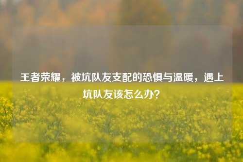 王者荣耀，被坑队友支配的恐惧与温暖，遇上坑队友该怎么办？