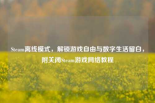 Steam离线模式,解锁游戏自由与数字生活留白,附关闭Steam游戏 *** 教程