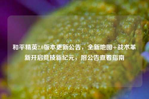 和平精英2.0版本更新公告,全新地图+战术革新开启竞技新纪元,附公告查看指南
