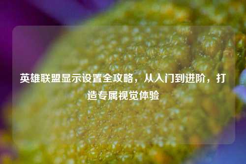 英雄联盟显示设置全攻略,从入门到进阶,打造专属视觉体验