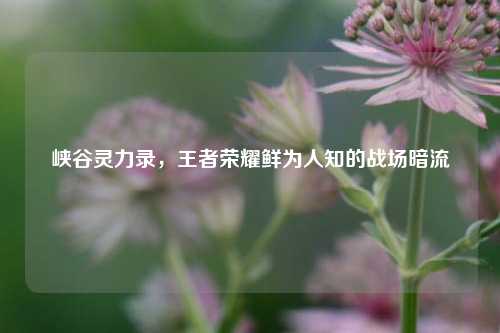 峡谷灵力录,王者荣耀鲜为人知的战场暗流