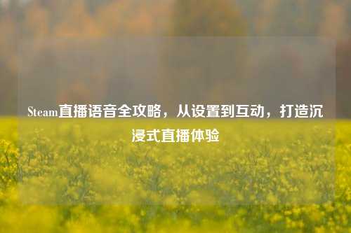 Steam直播语音全攻略,从设置到互动,打造沉浸式直播体验