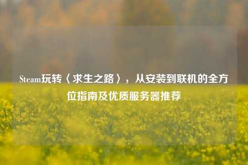 Steam玩转〈求生之路〉,从安装到联机的全方位指南及优质服务器推荐