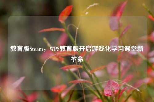教育版Steam,WPS教育版开启游戏化学习课堂新革命