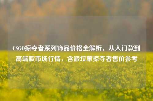 CSGO掠夺者系列饰品价格全解析,从入门款到高端款市场行情,含派垃蒙掠夺者售价参考