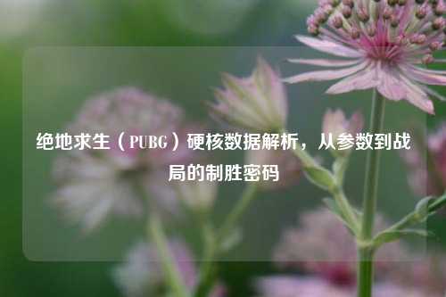 绝地求生(PUBG)硬核数据解析,从参数到战局的制胜密码