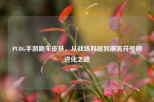 PUBG手游跑车皮肤,从战场利器到潮流符号的进化之路