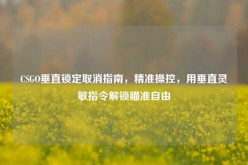 CSGO垂直锁定取消指南，精准操控，用垂直灵敏指令解锁瞄准自由