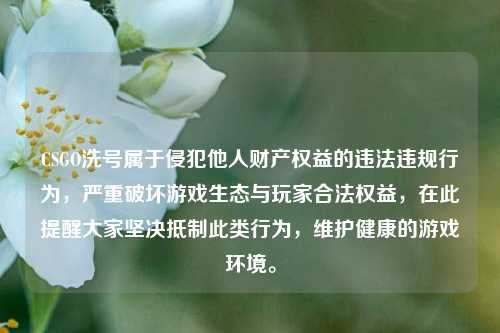 CSGO洗号属于侵犯他人财产权益的违法违规行为，严重破坏游戏生态与玩家合法权益，在此提醒大家坚决***此类行为，维护健康的游戏环境。