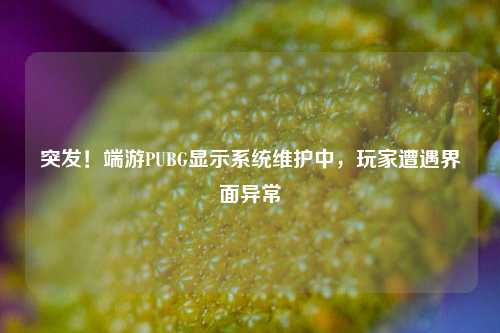 突发!端游PUBG显示系统维护中,玩家遭遇界面异常