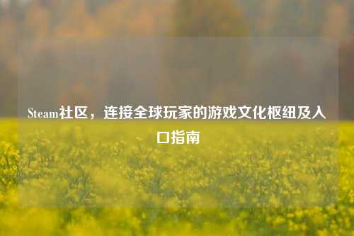 Steam社区,连接全球玩家的游戏文化枢纽及入口指南