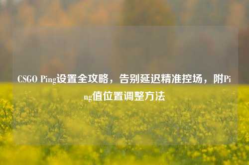 CSGO Ping设置全攻略,告别延迟精准控场,附Ping值位置调整 ***