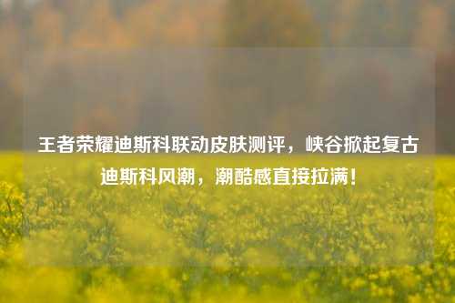 王者荣耀迪斯科联动皮肤测评,峡谷掀起复古迪斯科风潮,潮酷感直接拉满!