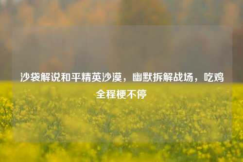 沙袋解说和平精英沙漠,幽默拆解战场,吃鸡全程梗不停