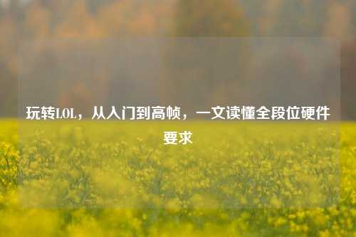 玩转LOL,从入门到高帧,一文读懂全段位硬件要求