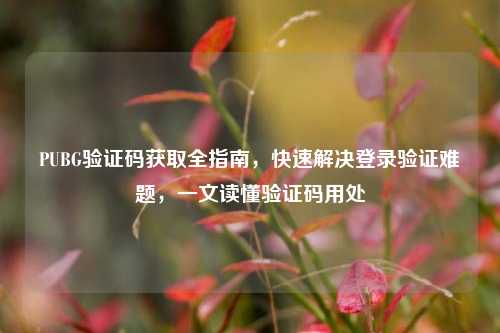 PUBG验证码获取全指南，快速解决登录验证难题，一文读懂验证码用处