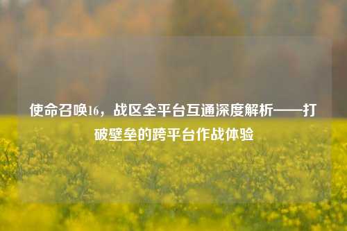 使命召唤16，战区全平台互通深度解析——打破壁垒的跨平台作战体验