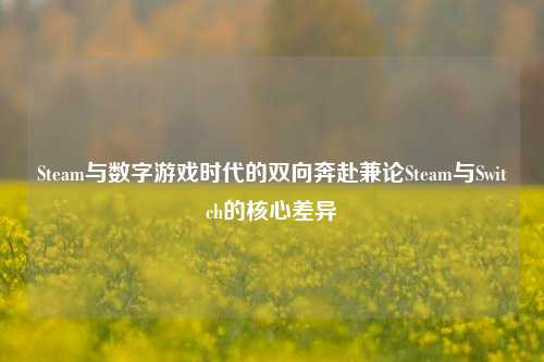 Steam与数字游戏时代的双向奔赴兼论Steam与Switch的核心差异
