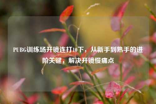 PUBG训练场开镜连打10下，从新手到熟手的进阶关键，解决开镜慢痛点