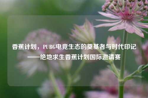香蕉计划,PUBG电竞生态的奠基者与时代印记——绝地求生香蕉计划国际邀请赛