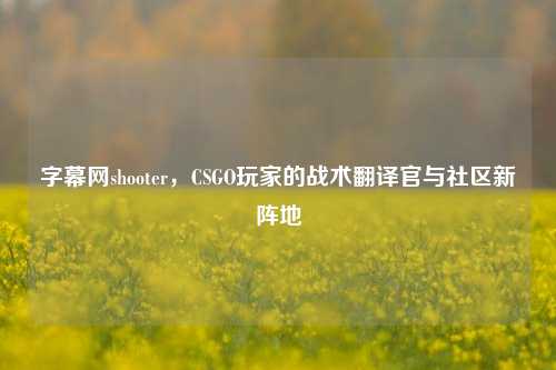 字幕网shooter，CSGO玩家的战术翻译官与社区新阵地