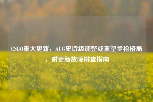 CSGO重大更新,AUG史诗级调整或重塑步枪格局,附更新故障排查指南