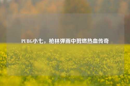 PUBG小七,枪林弹雨中剪燃热血传奇