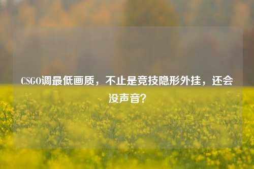 CSGO调更低画质，不止是竞技隐形外挂，还会没声音？
