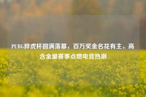 PUBG胖虎杯圆满落幕，百万奖金名花有主，高含金量赛事点燃电竞热潮
