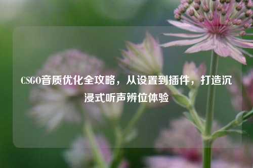 CSGO音质优化全攻略，从设置到插件，打造沉浸式听声辨位体验