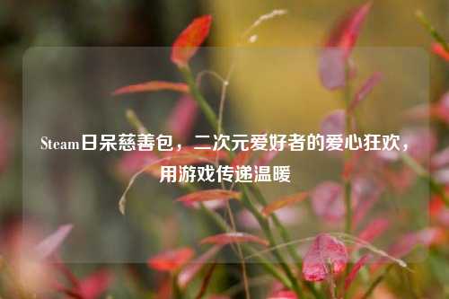 Steam日呆慈善包,二次元爱好者的爱心狂欢,用游戏传递温暖