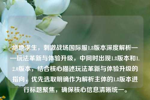 绝地求生，***战场国际服1.8版本深度解析——玩法革新与体验升级，中同时出现1.8版本和1.2.0版本，结合核心描述玩法革新与体验升级的指向，优先选取明确作为解析主体的1.8版本进行标题聚焦，确保核心信息清晰统一。
