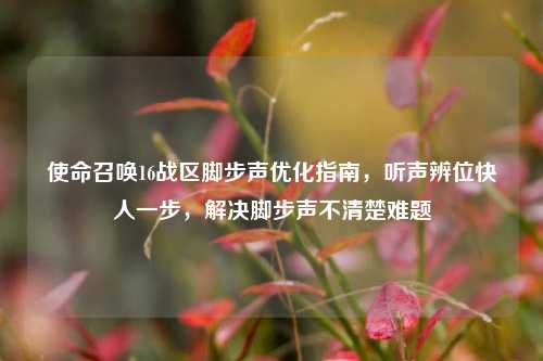 使命召唤16战区脚步声优化指南,听声辨位快人一步,解决脚步声不清楚难题