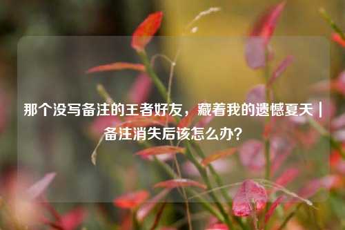 那个没写备注的王者好友,藏着我的遗憾夏天|备注消失后该怎么办?